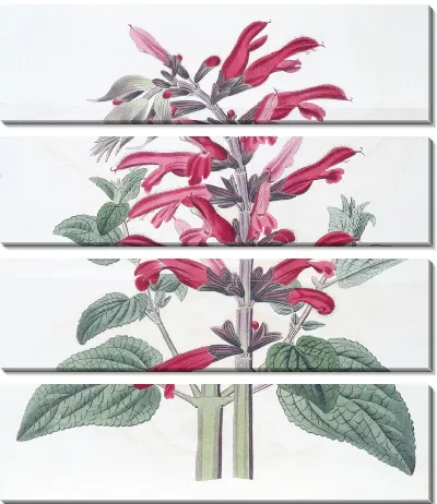 Картина Кардинал Мудрец (1815-1819)