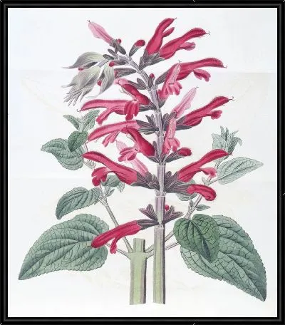 Картина Кардинал Мудрец (1815-1819)