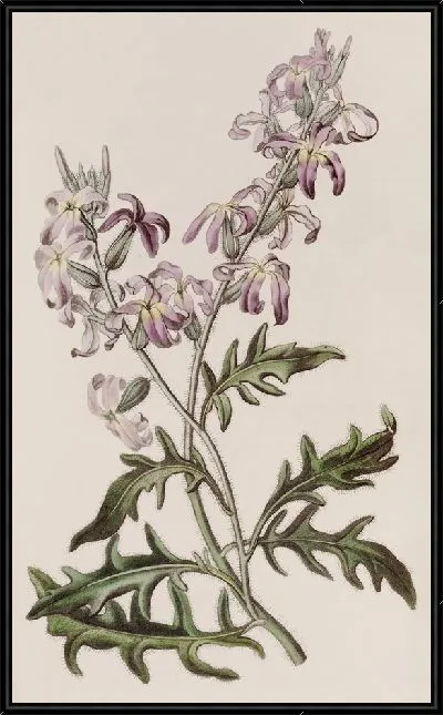 Картина Самый сладкий вечерний запас (1815-1819)