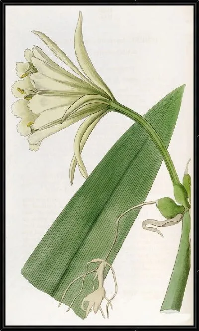 Картина Серная Исмена (1815-1819)