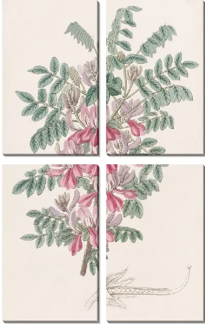 Картина Досуа Индиго (1815-1819)