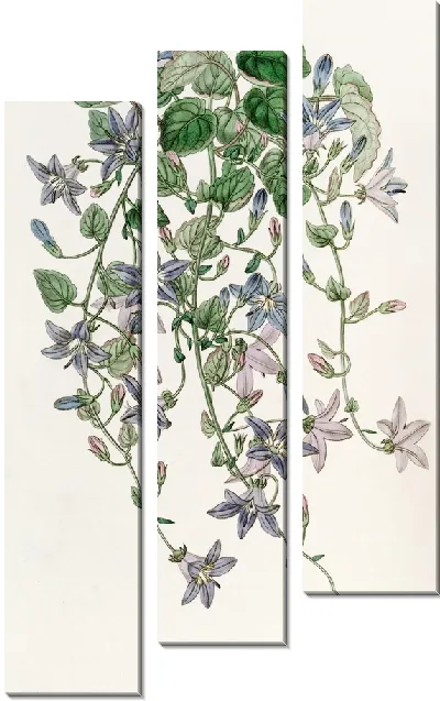 Картина Колокольчик Святого Анджело (1815-1819)