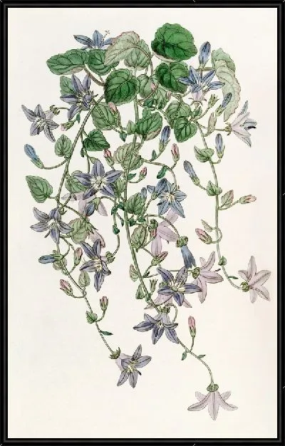 Картина Колокольчик Святого Анджело (1815-1819)