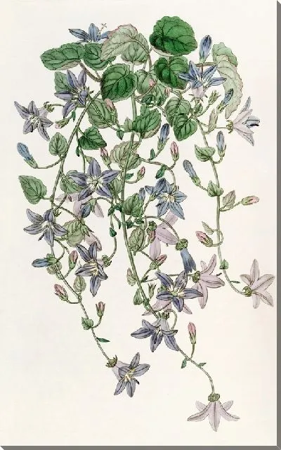 Картина Колокольчик Святого Анджело (1815-1819)