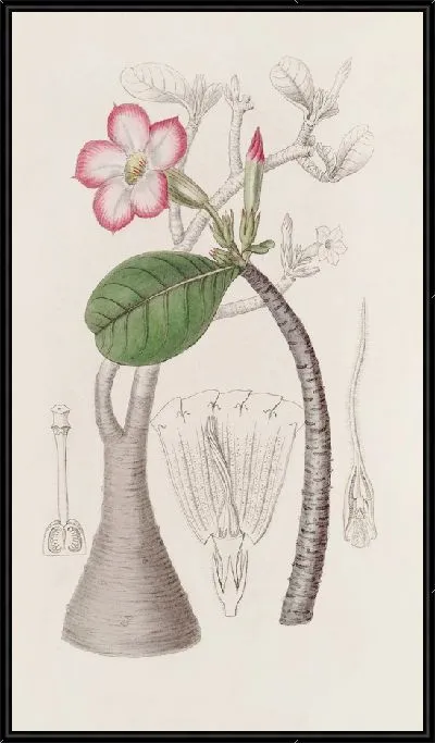 Картина Куст Хонхель (1815-1819 гг.)