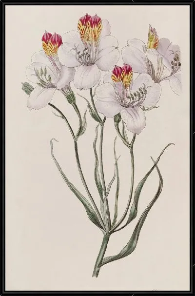 Картина Лигту (1815-1819)