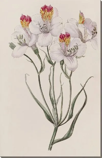 Картина Лигту (1815-1819)