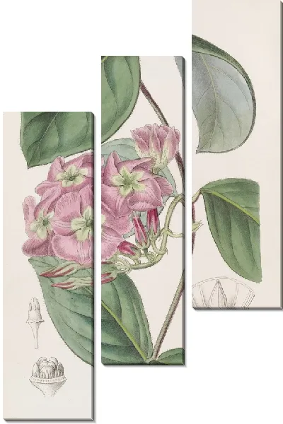 Картина Река Франсиско Эчитес (1815-1819)