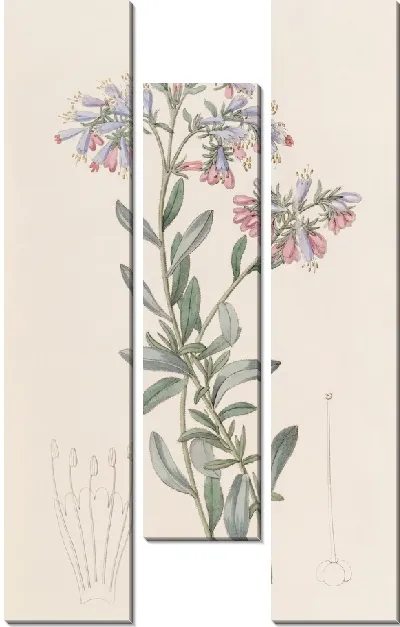 Картина Рок Баглосс (1815-1819)