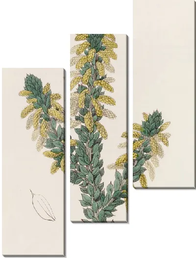 Картина Траурный плетень (1815-1819)