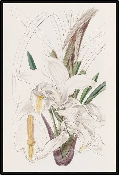 Картина Цимбид из слоновой кости (1815-1819)