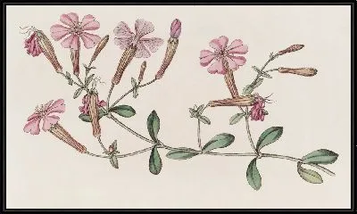 Картина Шафта (1815-1819)