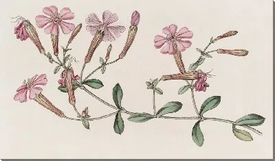 Картина Шафта (1815-1819)