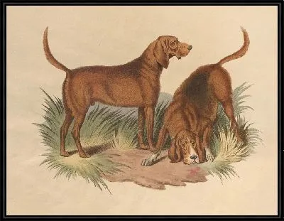 Картина Кровавая гончая (1800)