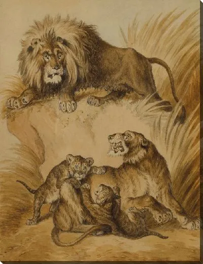 Картина Лев, львица и два детеныша