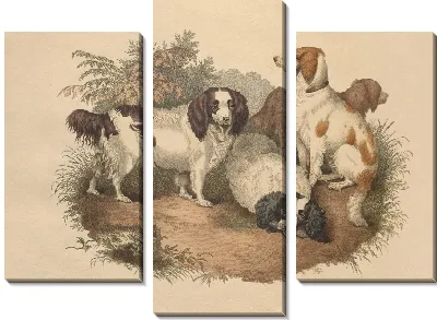 Картина Спаниель (1800)