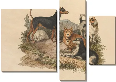 Картина Терьер (1800)