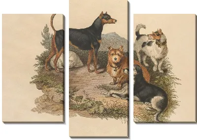 Картина Терьер (1800)
