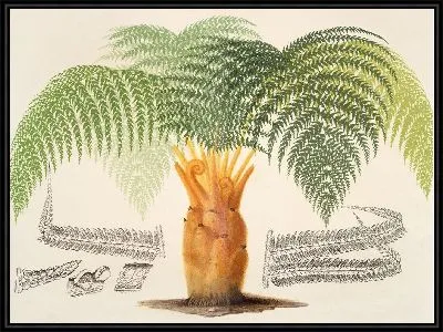 Картина Угощение циботием (1854-1896)
