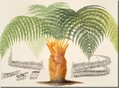 Картина Угощение циботием (1854-1896)