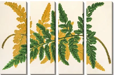 Картина Гимнограмма Лохана