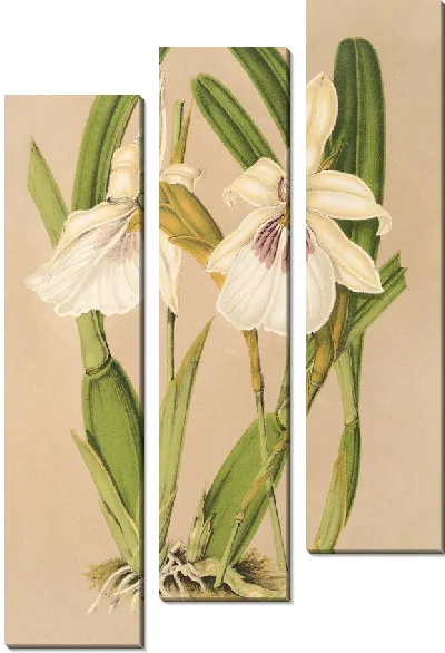 Картина Милтония впечатляет