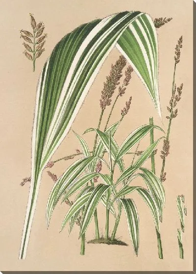 Картина Паника сложена