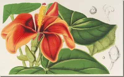 Картина Частично напряженный