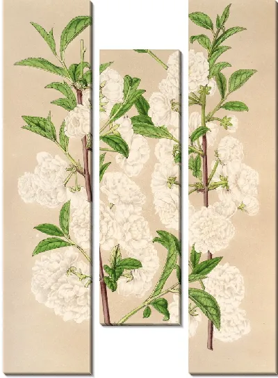 Картина Прунус японский (1854-1896)