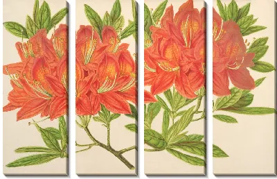 Картина Азалия моллис (1854-1896)