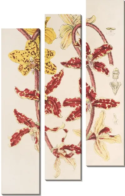 Картина Ванда Лоуи Линдл. (1854-1896)