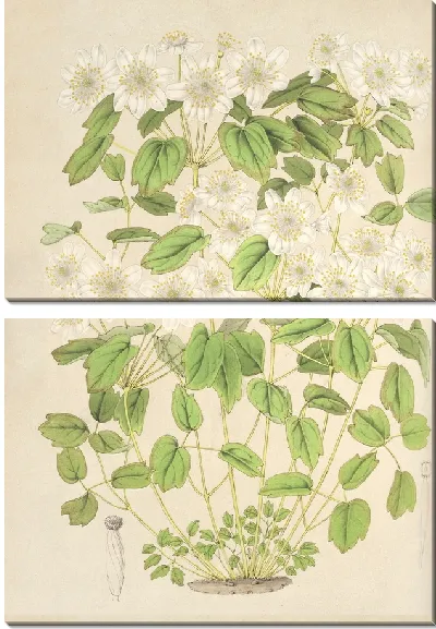 Картина Василий Анемоновый (1854-1896)