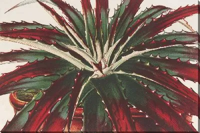 Картина Гехтия Гисбрегти (1854-1896)