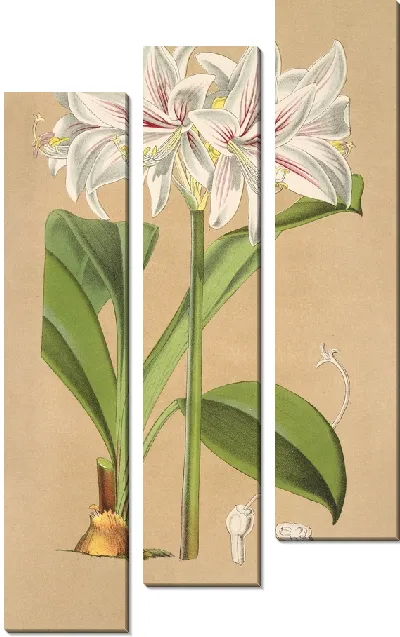 Картина Гриффиния Блюменавия (1854-1896)