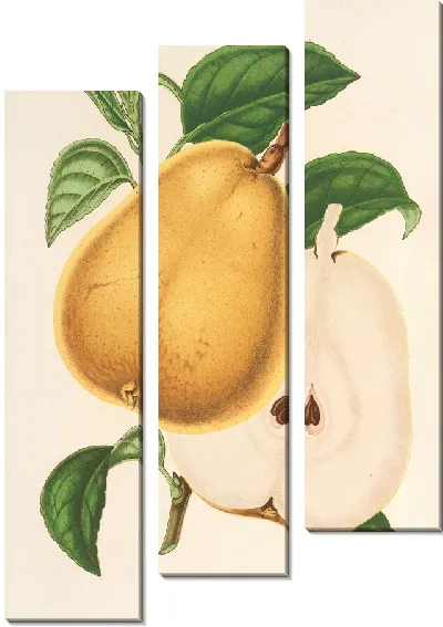Картина Груша от Фроментела (1854-1896)