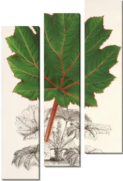 Картина Гуннера Брефогея (1854-1896)