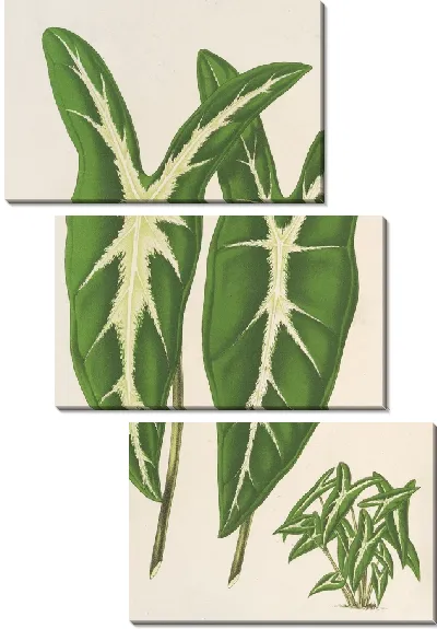 Картина Каладия Лемариан (1854-1896)