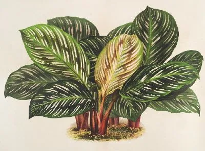 шаблон id 38