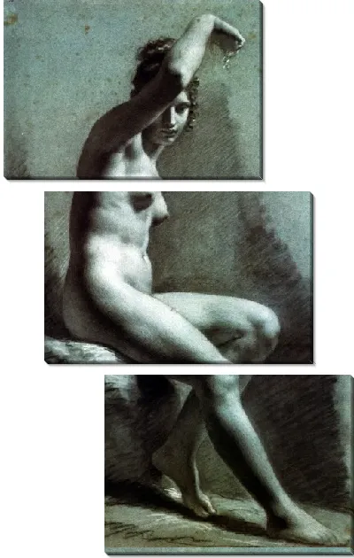 Картина Усаженная голая женщина (Femme nue assise)