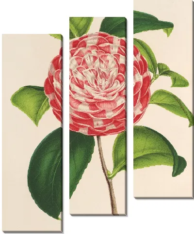Картина Камелия Наззари (1854-1896)