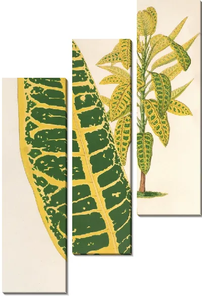 Картина Код меняется, меняется. Максим (1854-1896)