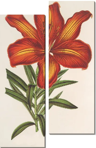 Картина Лилия Формозум (1854-1896)