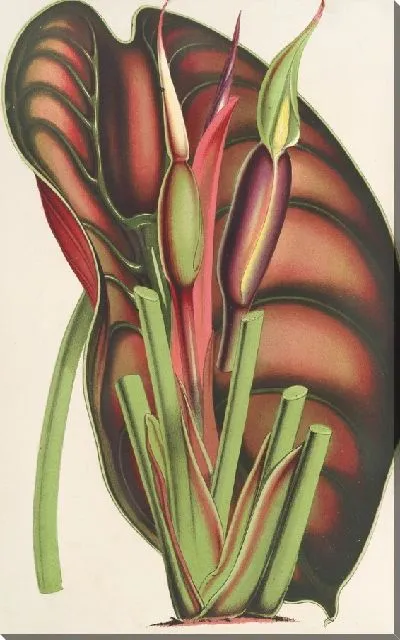 Картина Металлический сплав (1854-1896)