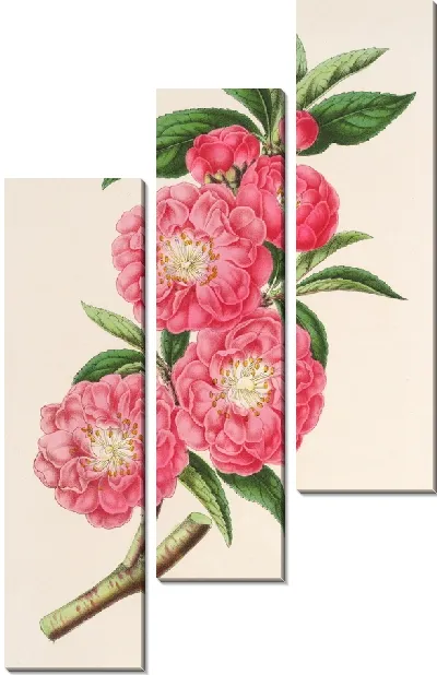 Картина Миндалина (персика) роафлора (1854-1896)