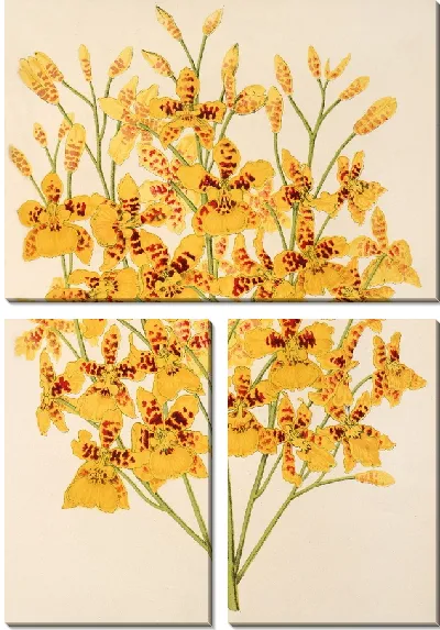 Картина Оригинальное серебро (1854-1896 гг.)