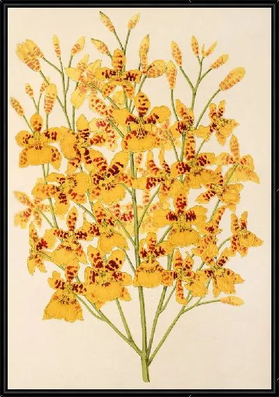 Картина Оригинальное серебро (1854-1896 гг.)