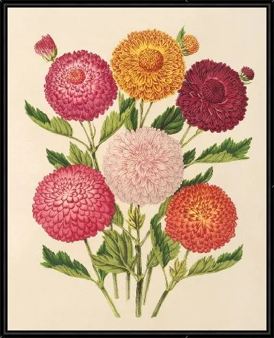 Картина Осенние хризантемы (1854-1896)