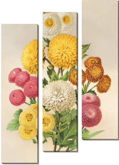 Картина Осенние хризантемы. (1854-1896)