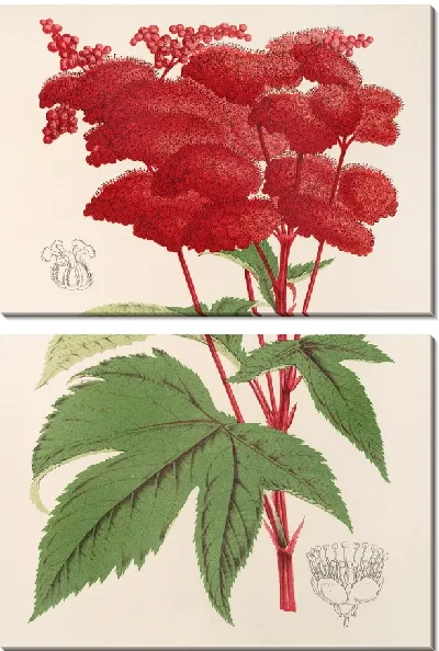 Картина Пальма (1854-1896)