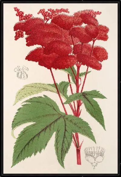 Картина Пальма (1854-1896)